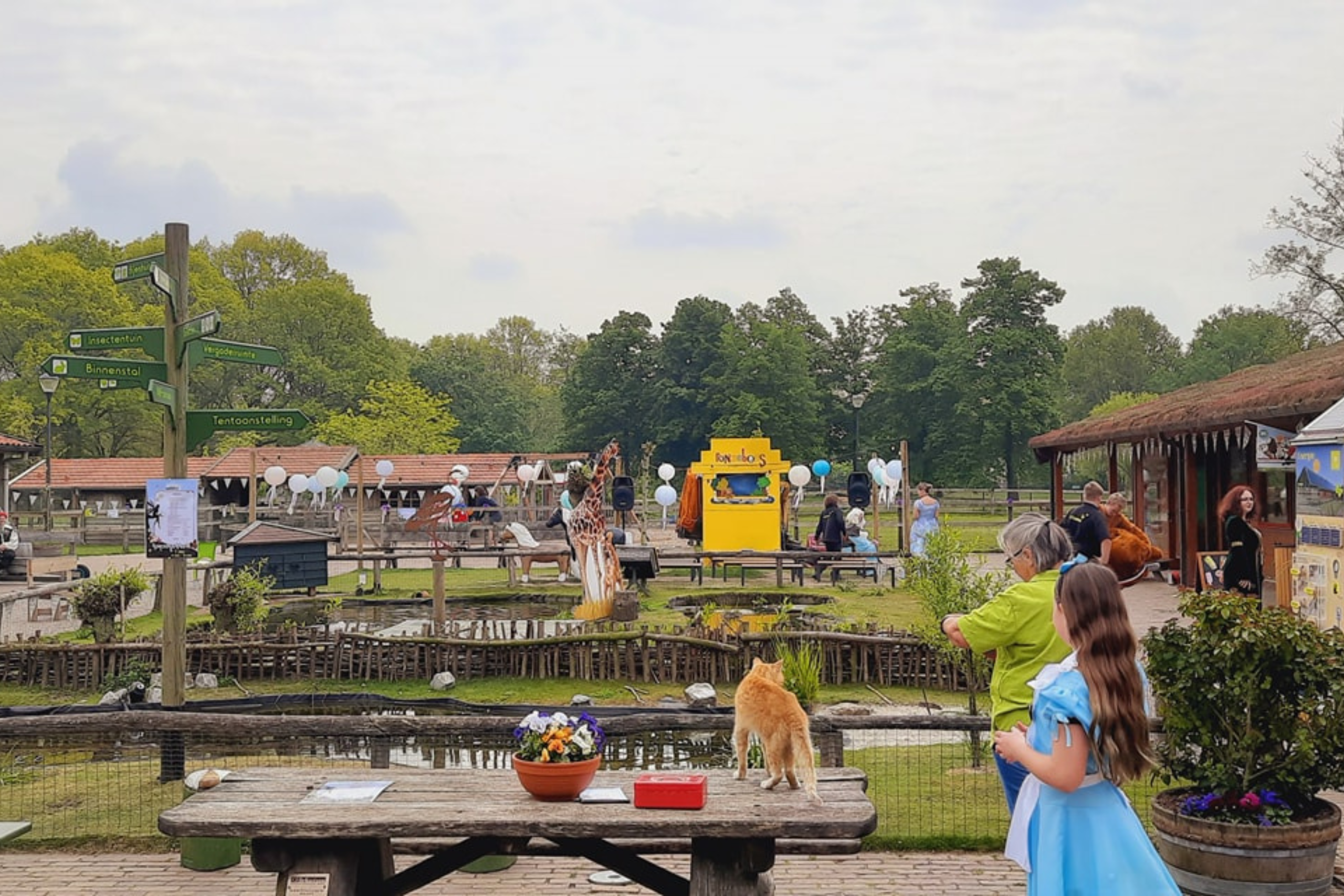 Poppenkast huren voor evenement